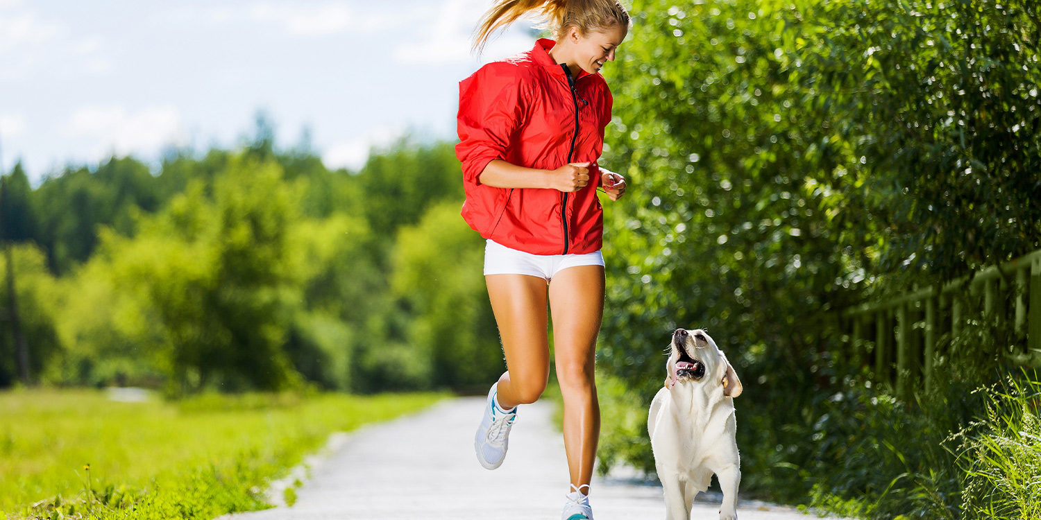 Central Coast Lifestyle » The Art Of Living » Radcliffe Wyee